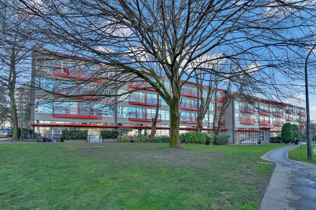 Media Image 1