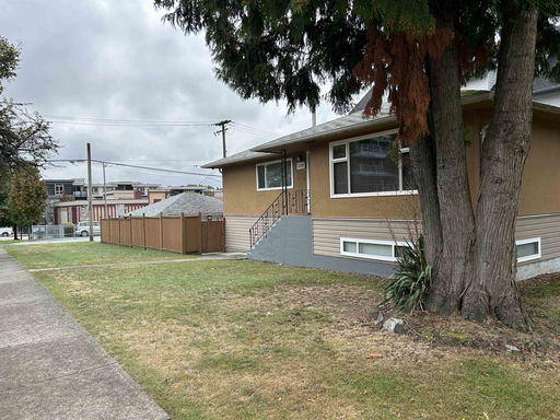 Media Image 2