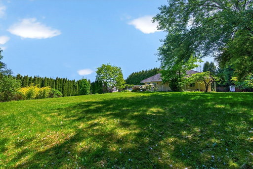 Media Image 2