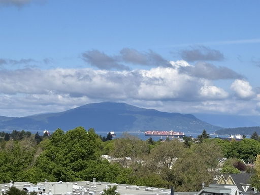 Media Image 3
