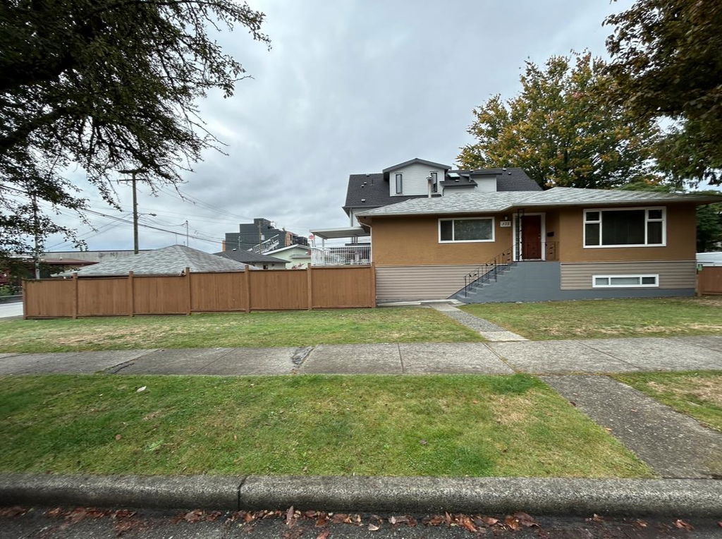 Media Image 1