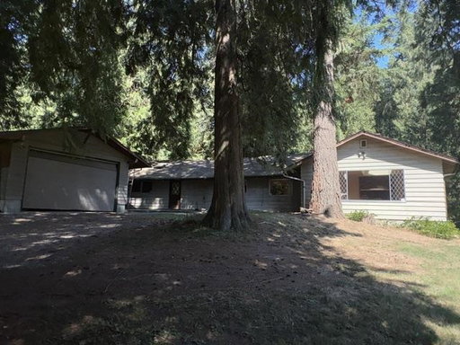 Media Image 3