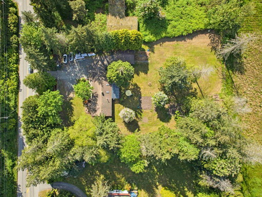 Media Image 3