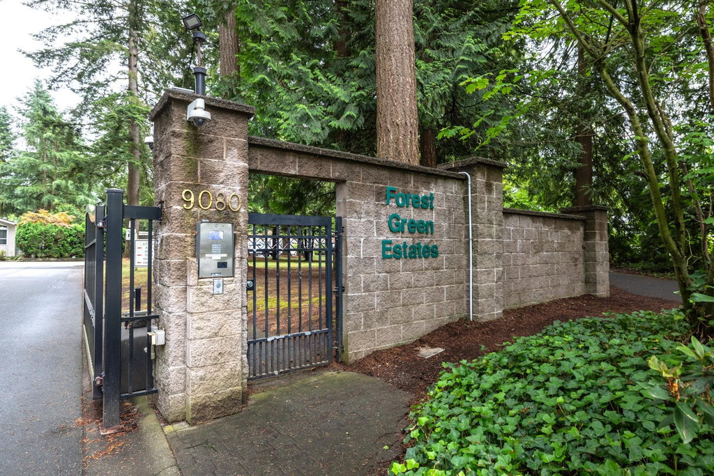 Media Image 1