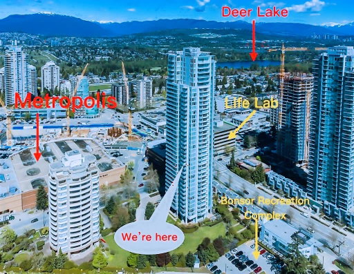 Media Image 3