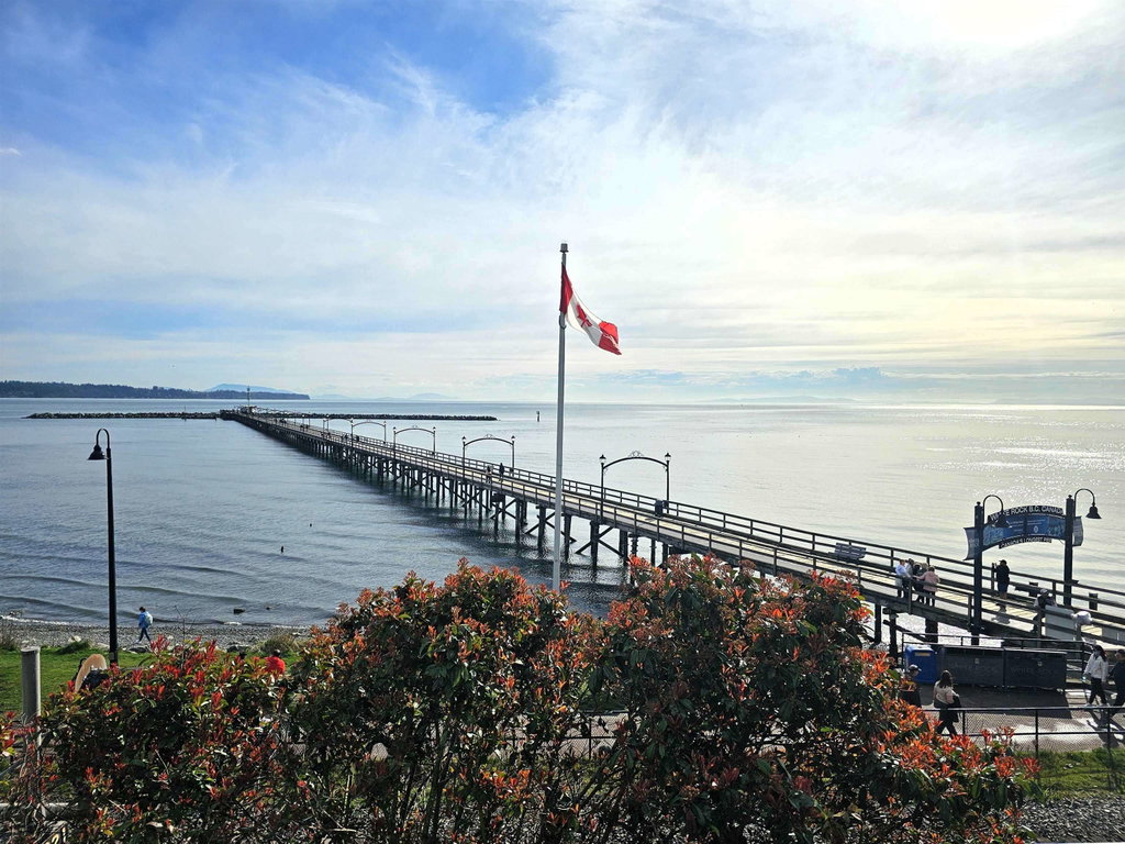 Media Image 1