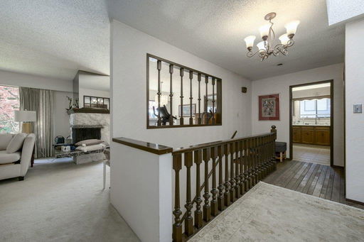Media Image 3