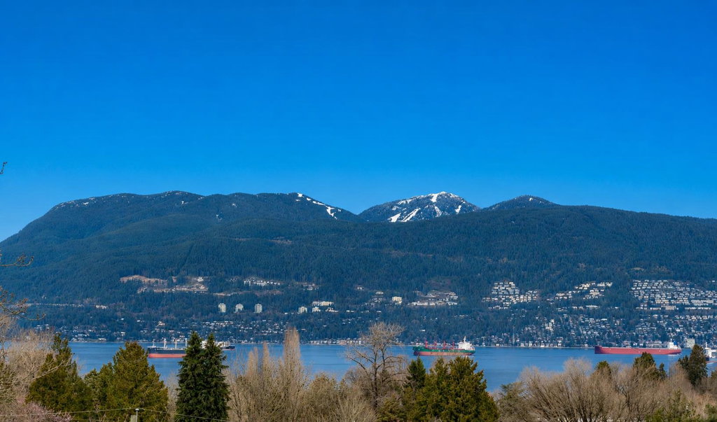 Media Image 1