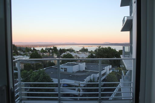 Media Image 2