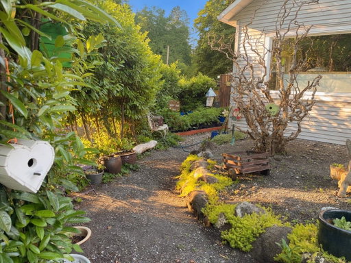 Media Image 3