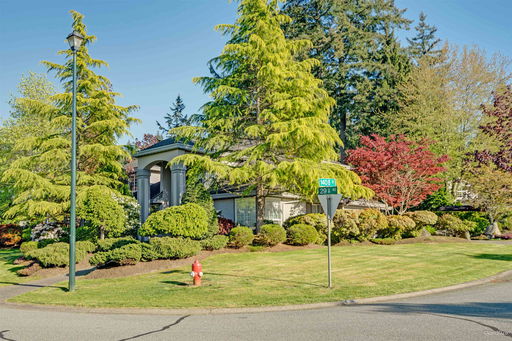 Media Image 2