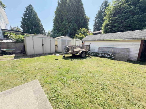 Media Image 3