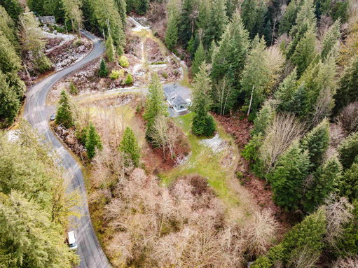 Media Image 3