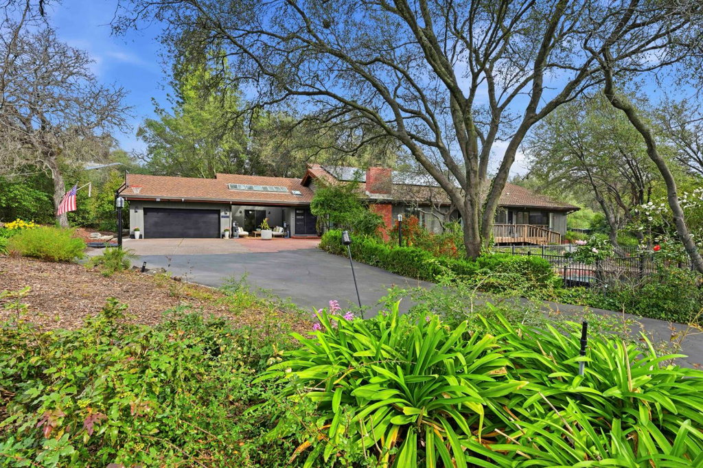 Media Image 1