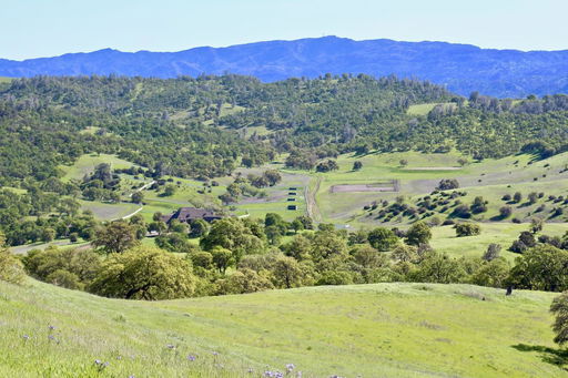Media Image 2