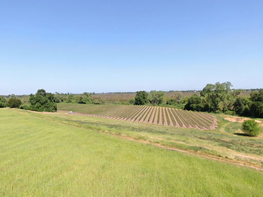 Media Image 2
