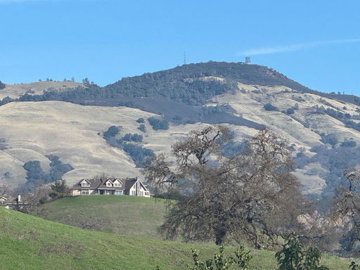 Media Image 2