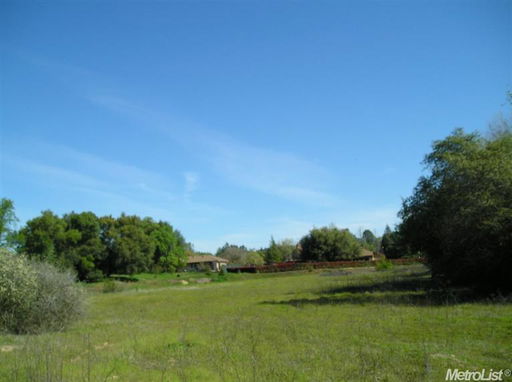 Media Image 3