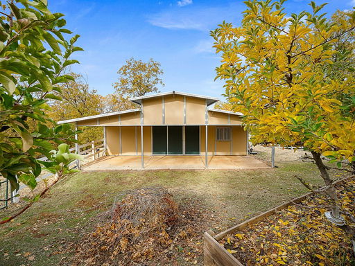 Media Image 3