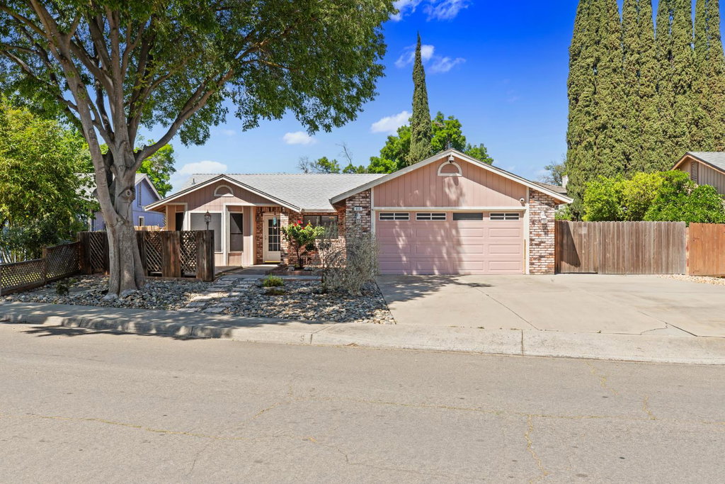 Media Image 1