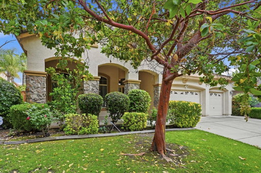 Media Image 3