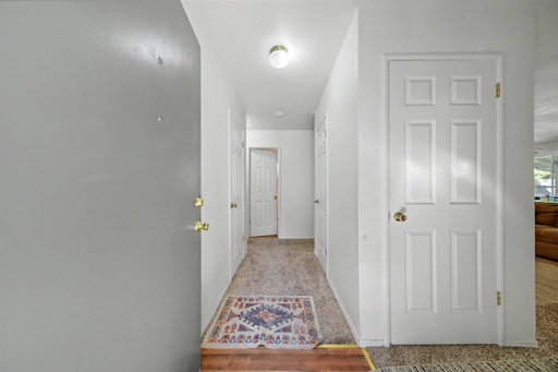 Media Image 2