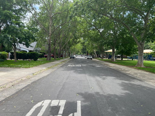 Media Image 2