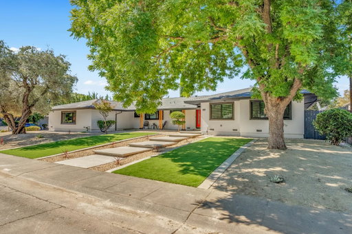 Media Image 2