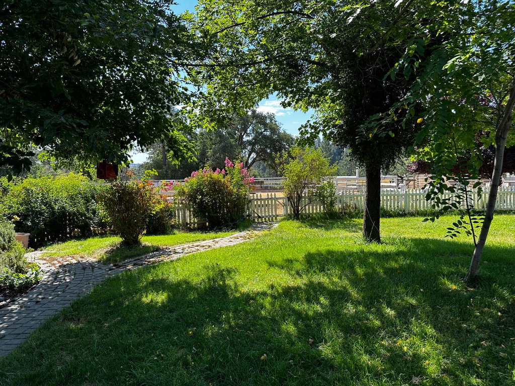 Media Image 1