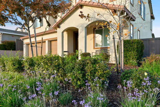 Media Image 3