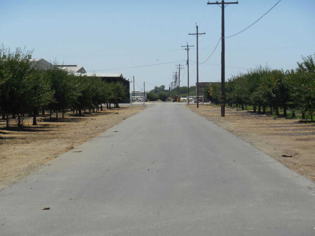 Media Image 1