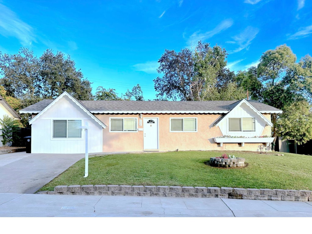 Media Image 1