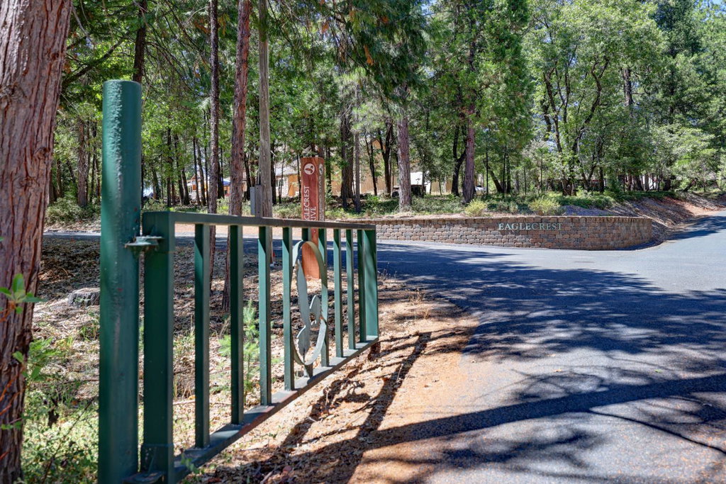 Media Image 1