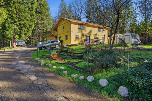 Media Image 3