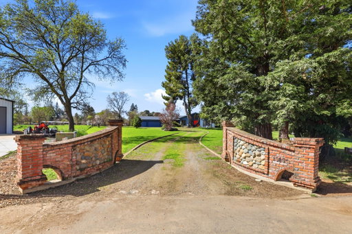 Media Image 2