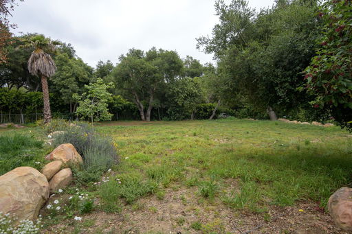Media Image 2