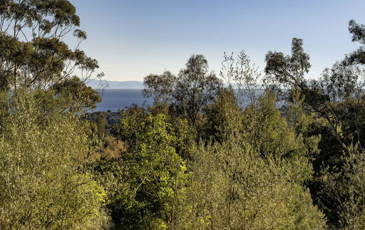 Media Image 2