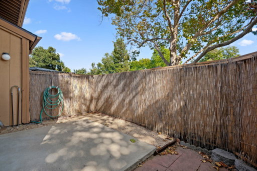 Media Image 3