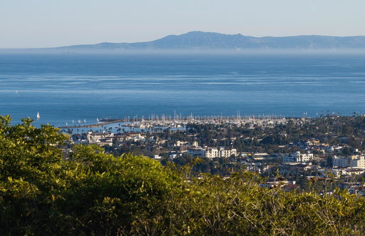 Media Image 3