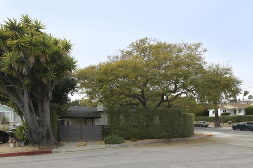 Media Image 3