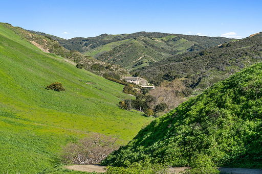 Media Image 3