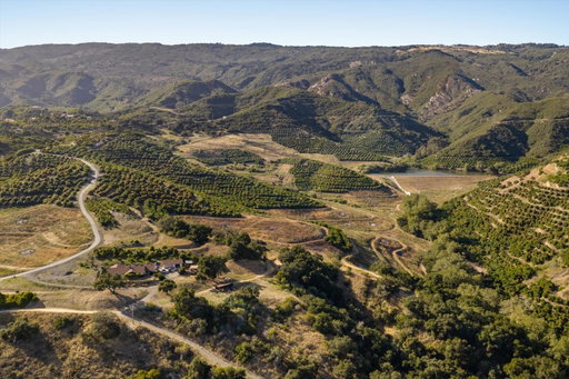 Media Image 3