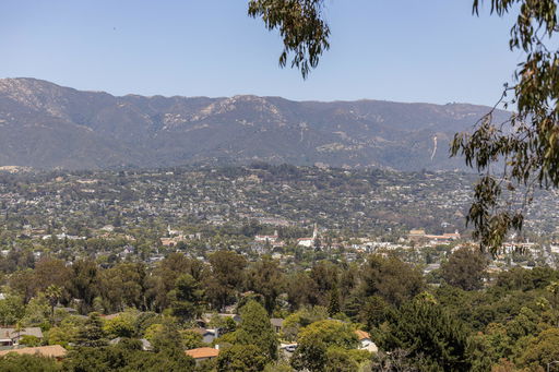 Media Image 2