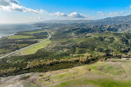 Media Image 2