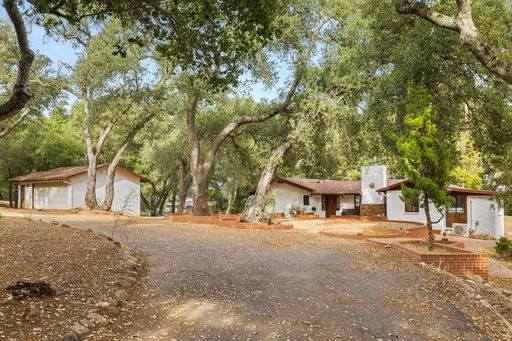 Media Image 2