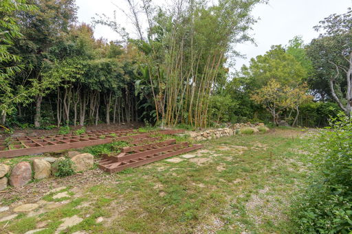 Media Image 3