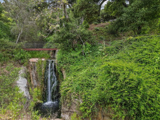 Media Image 2