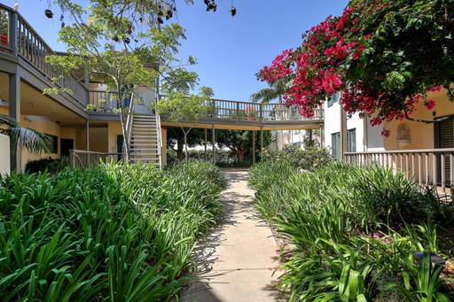 Media Image 2