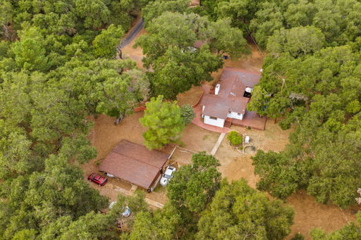 Media Image 3
