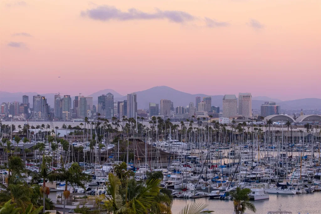 Image Unavailable
